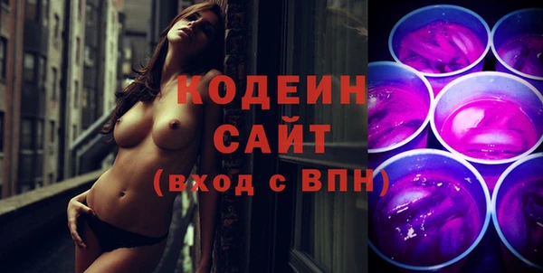ГАЛЛЮЦИНОГЕННЫЕ ГРИБЫ Михайлов