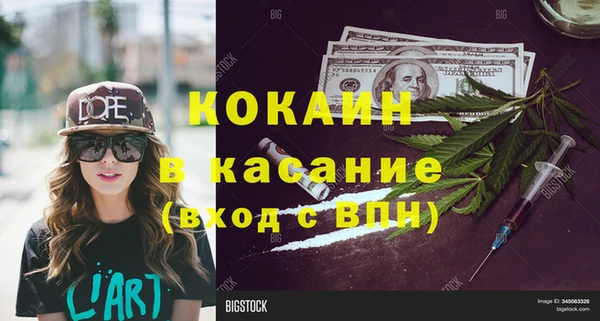 ГАЛЛЮЦИНОГЕННЫЕ ГРИБЫ Михайлов