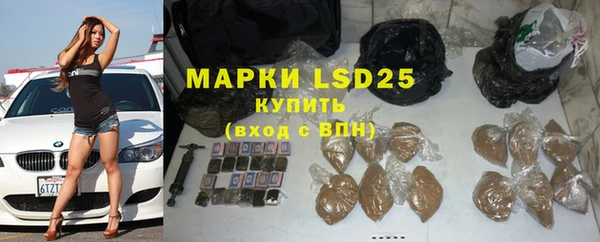 ГАЛЛЮЦИНОГЕННЫЕ ГРИБЫ Михайлов