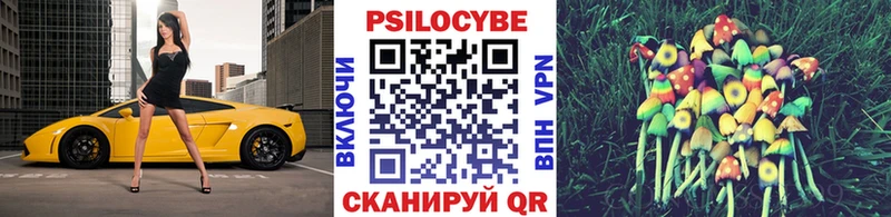 Псилоцибиновые грибы MAGIC MUSHROOMS  Купить закладки  Кувандык 
